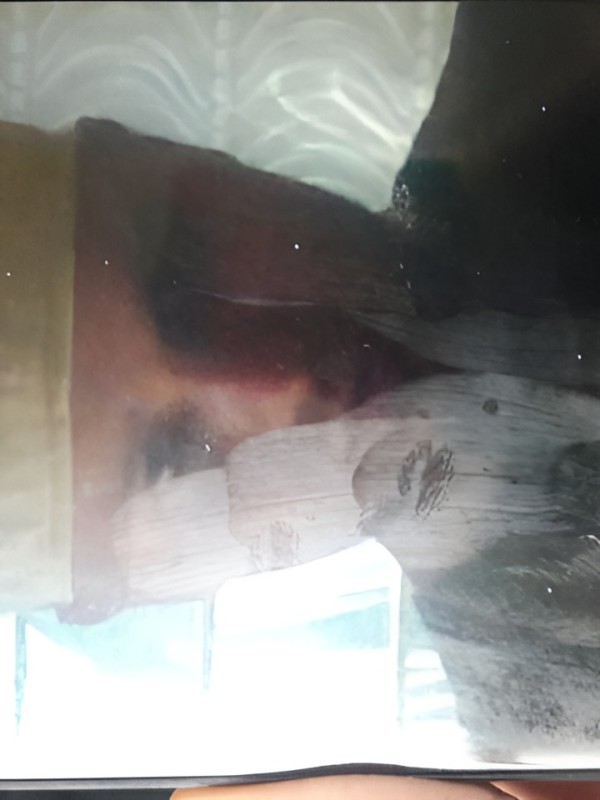 Тамара привлекательная девушка из Бойковского цена от 5000 руб